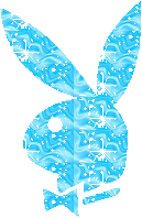klweebunny.jpg
